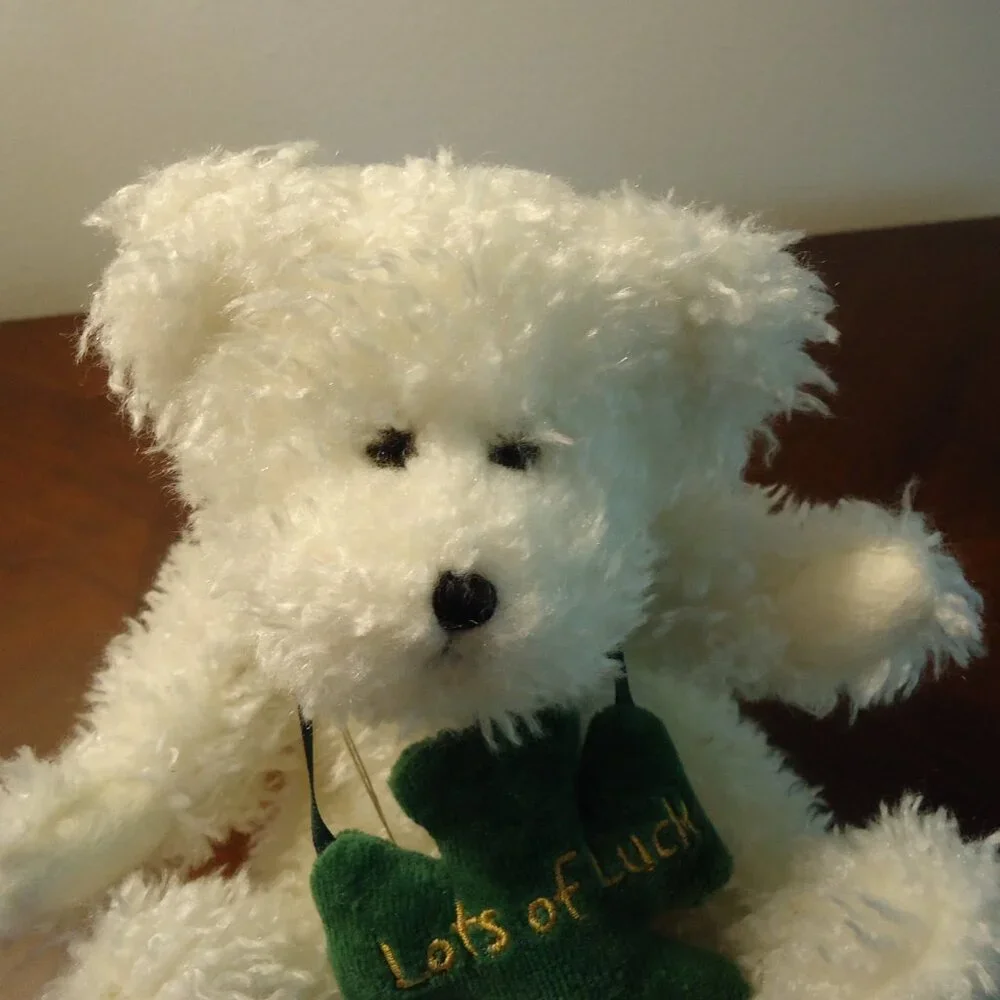 Longaberger Lots of Luck Basket w/ Boyds Bears LIAM Bear